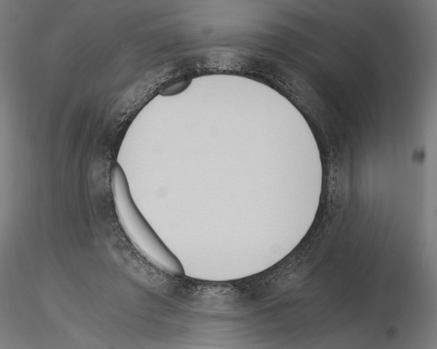 X0000115240401200912111059