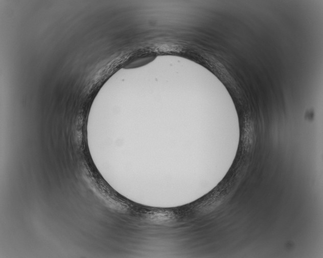 X0000115240402200912111059