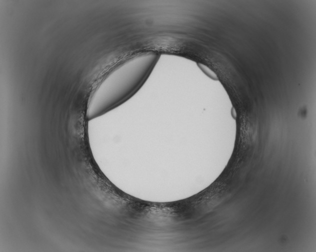 X0000115240403200912111059