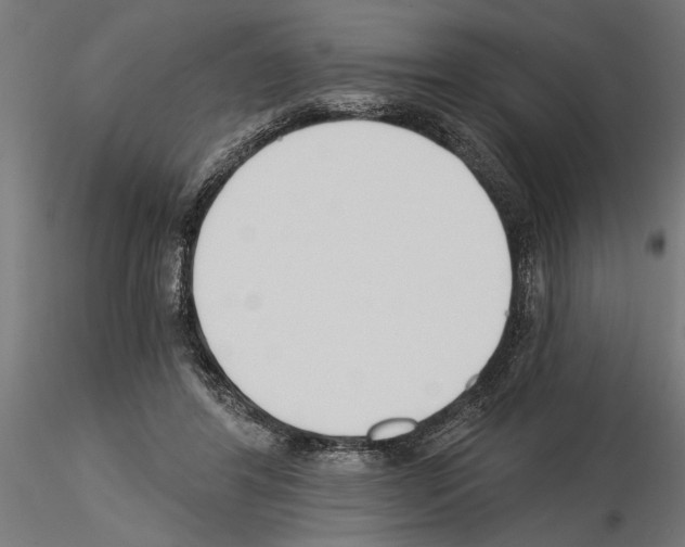 X0000115240404200912111059