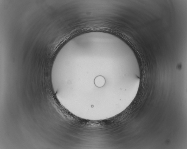 X0000115240405200912111059