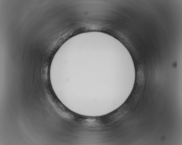 X0000115240406200912111059