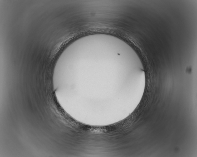 X0000115240407200912111059