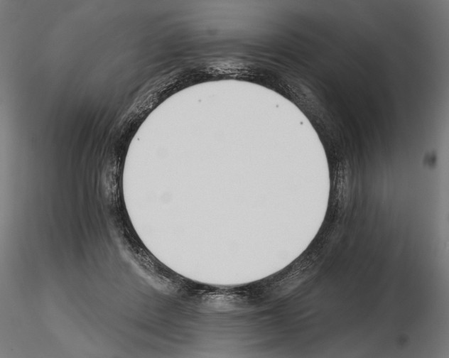 X0000115240408200912111059