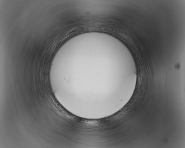 X0000115240409200912111059