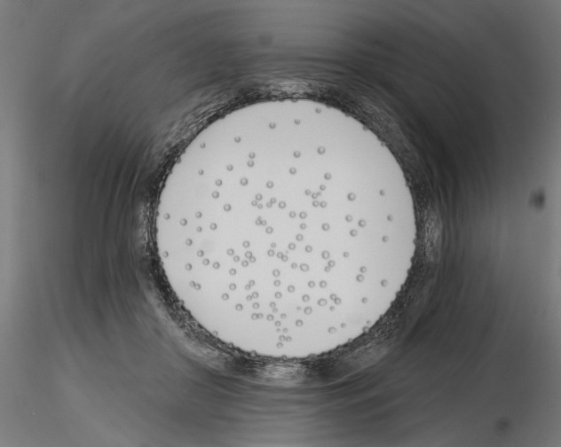 X0000115240410200912111059