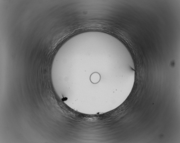 X0000115240411200912111059