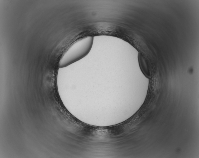 X0000115240413200912111059