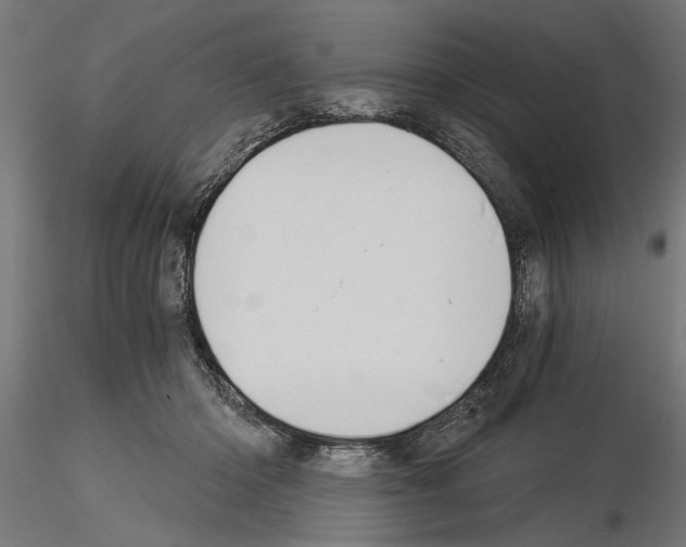 X0000115240414200912111059