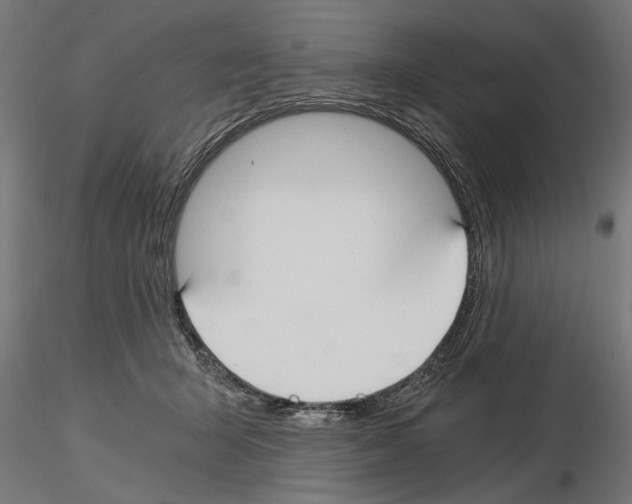 X0000115240415200912111059