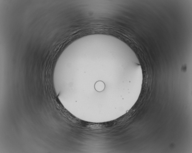 X0000115240417200912111059