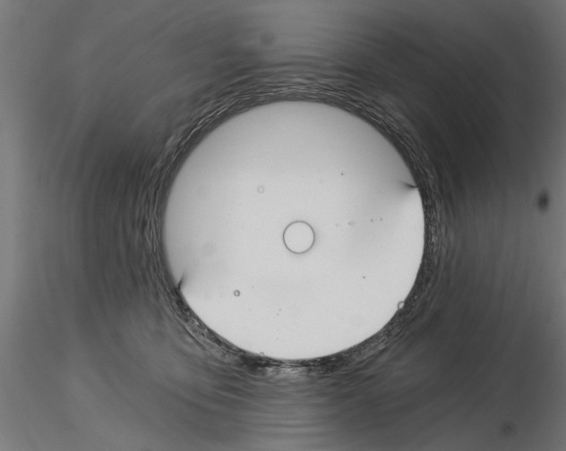 X0000115240419200912111058