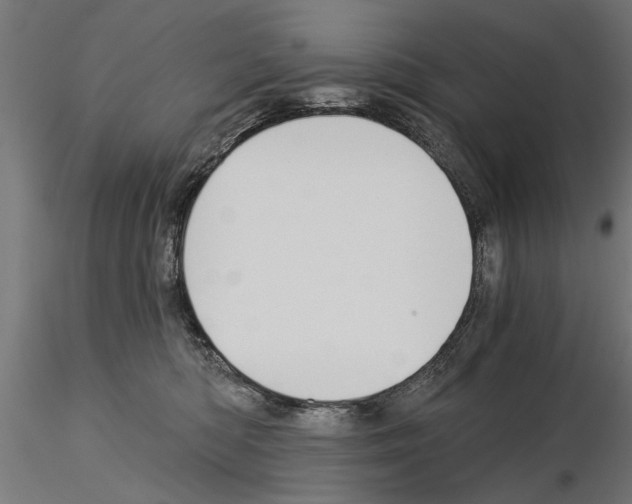 X0000115240422200912111058