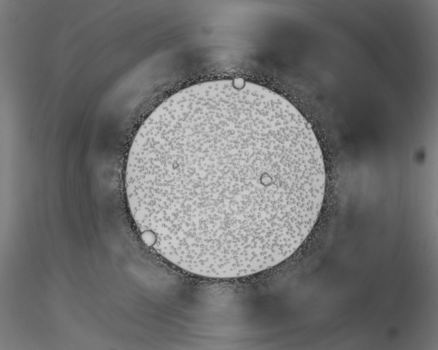 X0000115240423200912111058