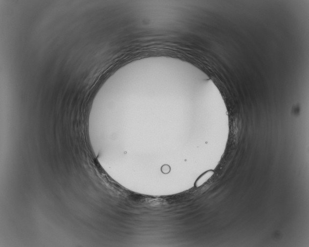 X0000115240424200912111058