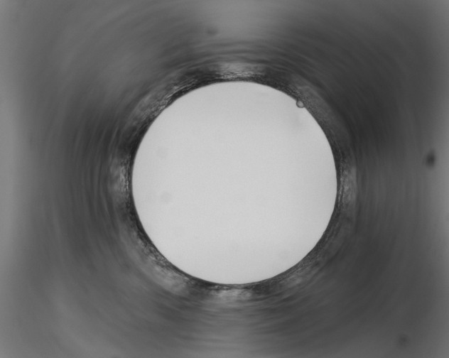 X0000115240426200912111058