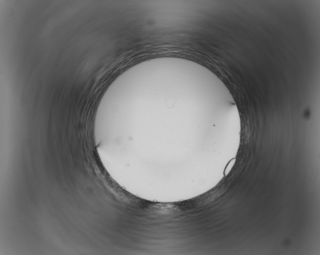 X0000115240427200912111058