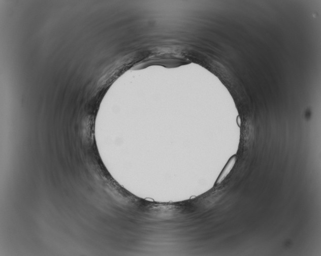 X0000115240428200912111058