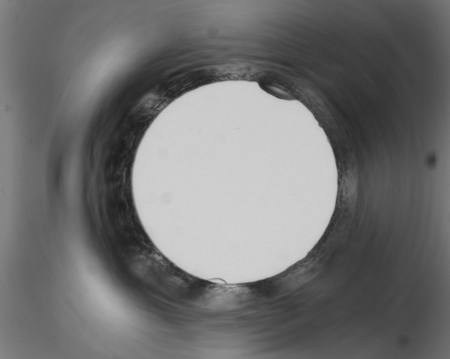 X0000115240429200912111058