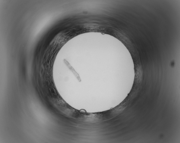 X0000115240430200912111058