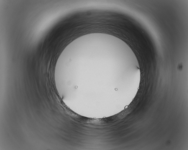 X0000115240431200912111058