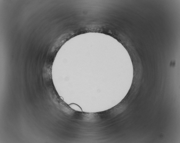 X0000115240432200912111058