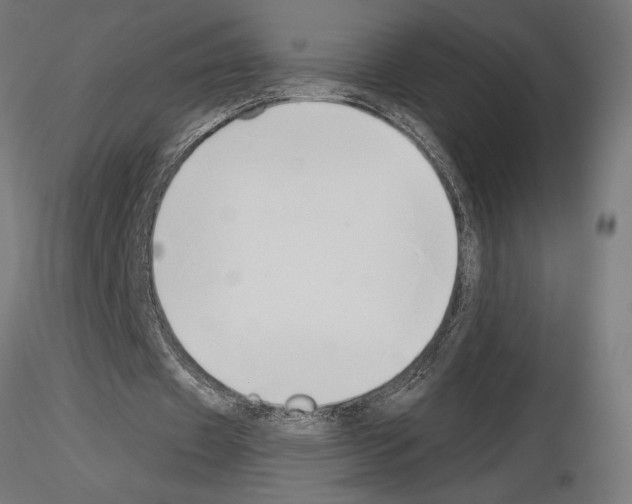 X0000115240433200912111058