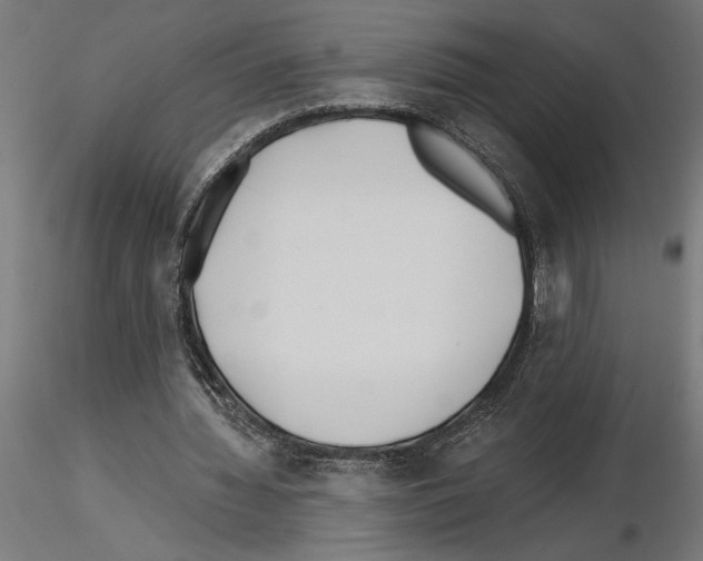 X0000115240436200912111058