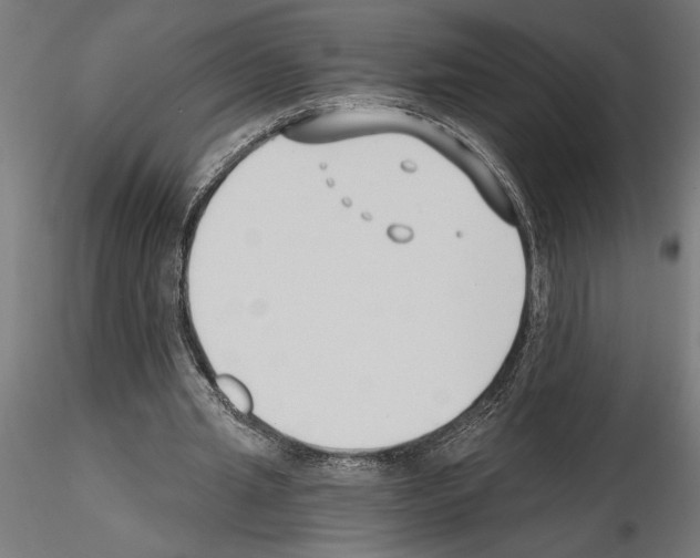 X0000115240437200912111058