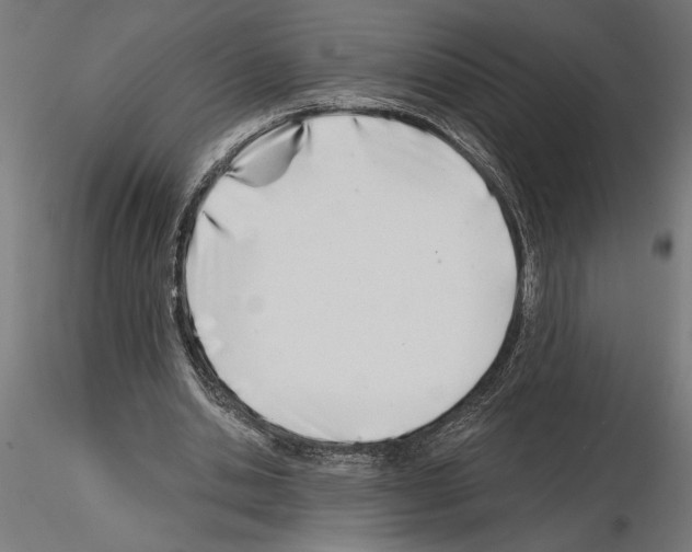 X0000115240438200912111058