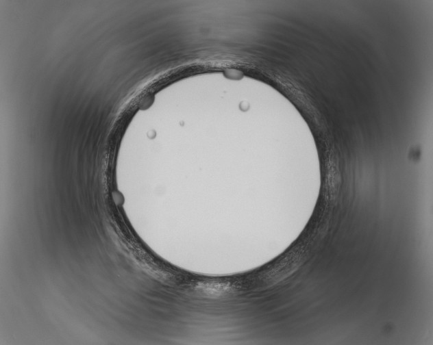 X0000115240440200912111058