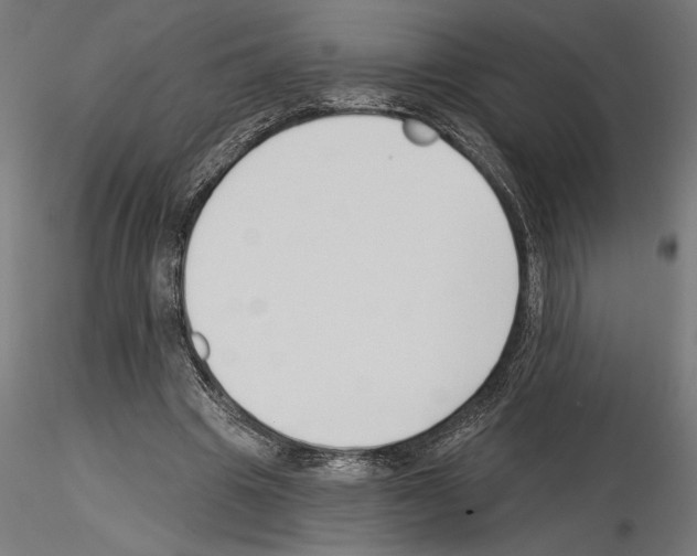 X0000115240441200912111058