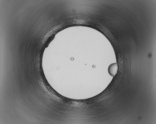 X0000115240442200912111058