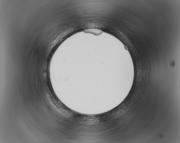 X0000115240443200912111058