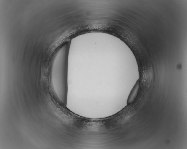 X0000115240444200912111058