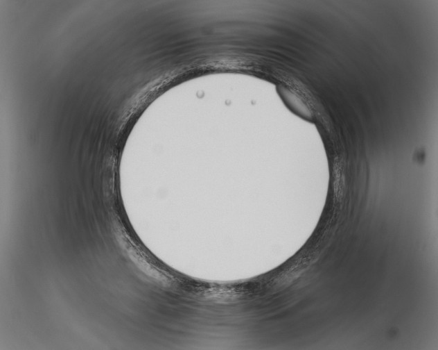 X0000115240445200912111058