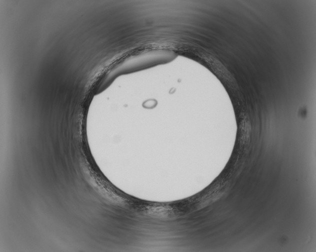 X0000115240446200912111058