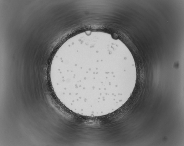 X0000115240447200912111058