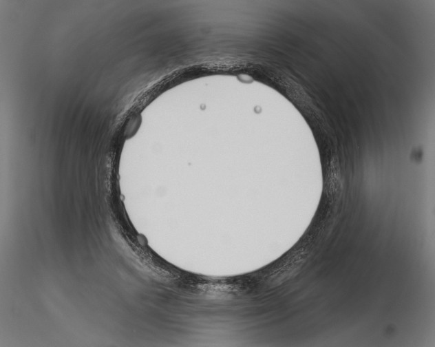 X0000115240448200912111058