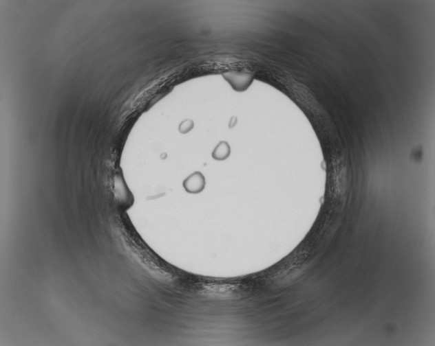 X0000115240450200912111058