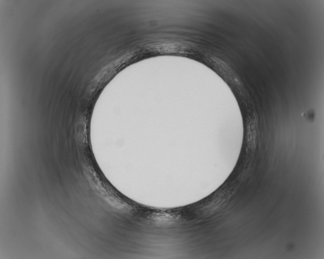 X0000115240453200912111058