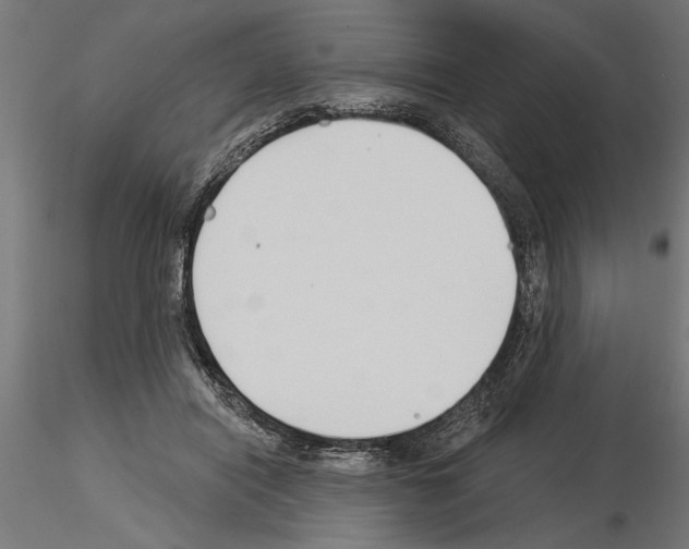 X0000115240454200912111058