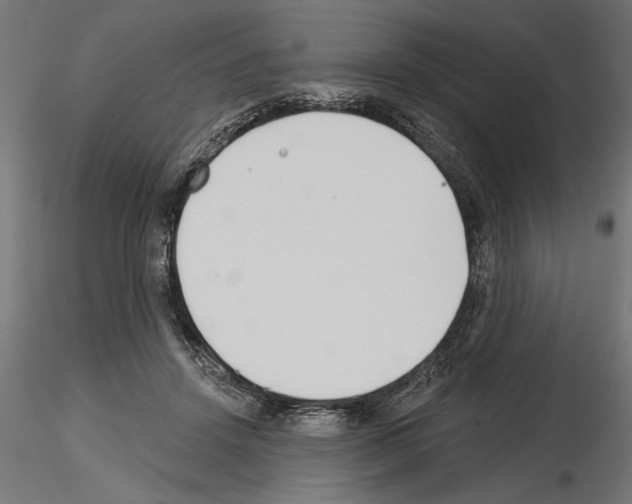 X0000115240456200912111058