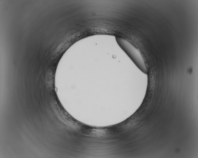 X0000115240457200912111058