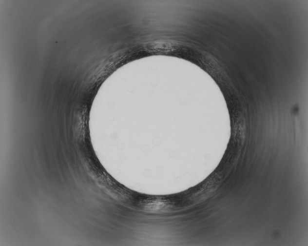 X0000115240460200912111058