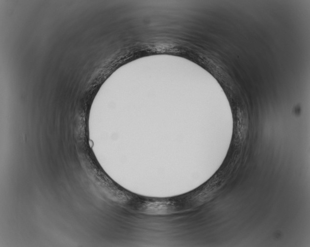 X0000115240461200912111058