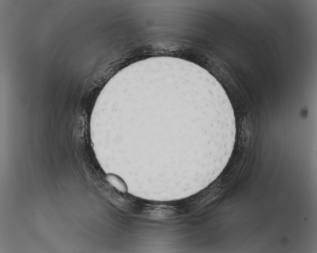 X0000115240463200912111058