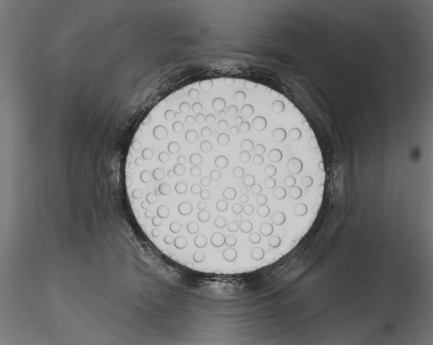 X0000115240466200912111058