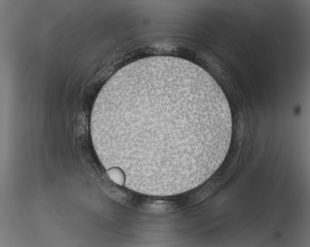 X0000115240467200912111058