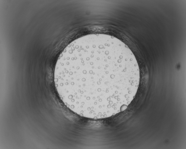 X0000115240469200912111058